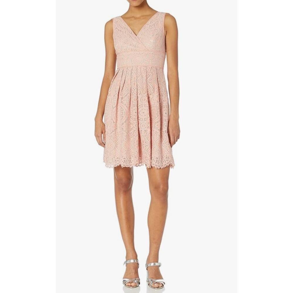Adrianna Papell Lace Fit and Flare Dress Pink Women's 2P